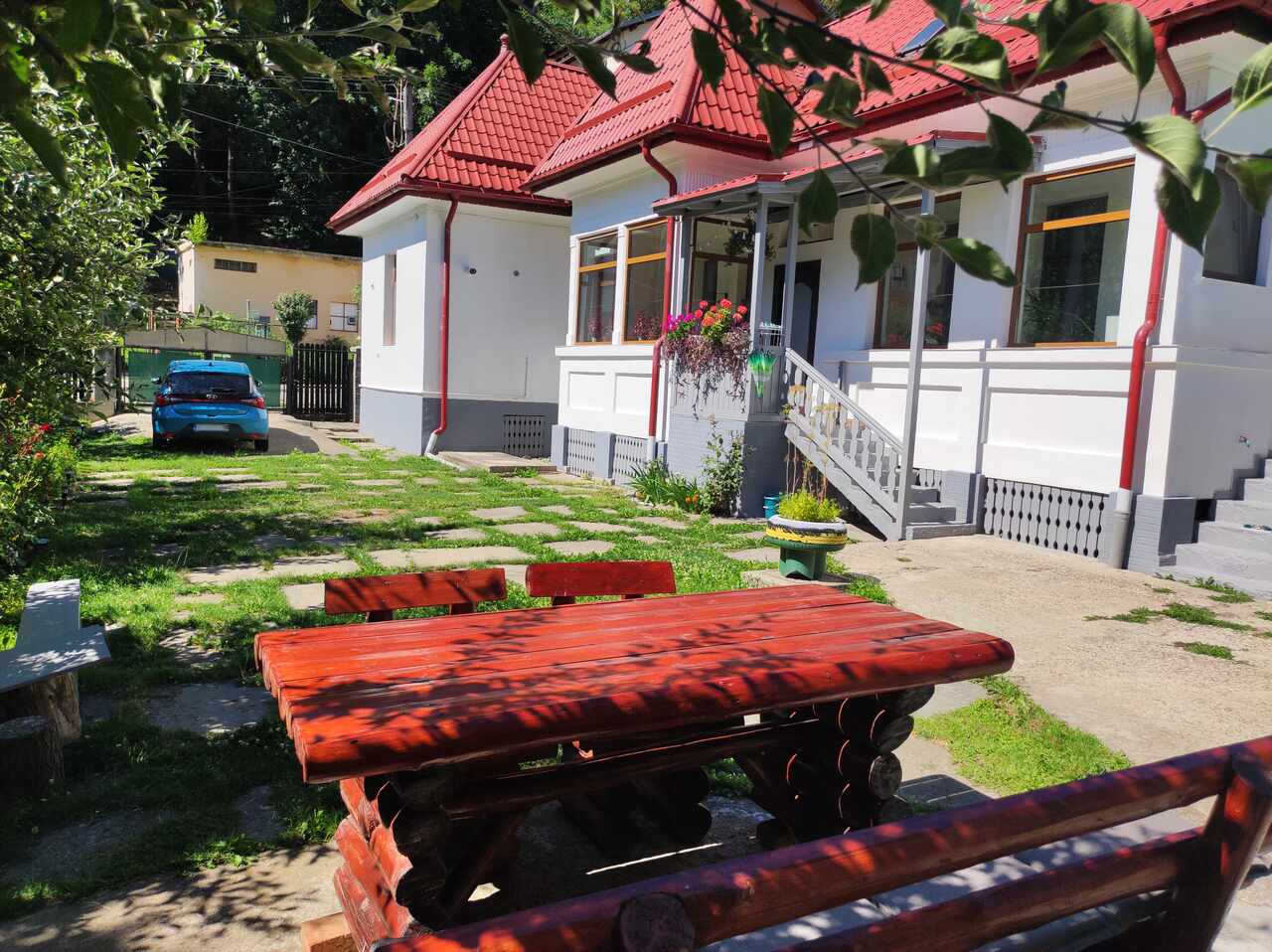 Little Bear Bușteni - Vedere curte și casă vară