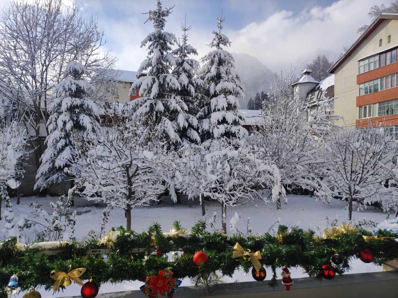 Little Bear Bușteni - Vedere curte iarnă