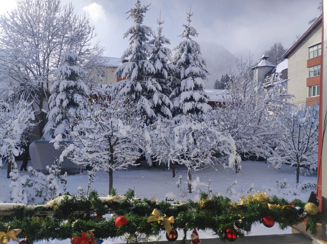 Little Bear Busteni - Vedere curte iarna