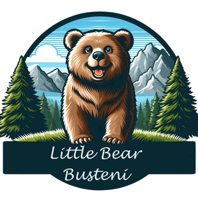 Little Bear Busteni